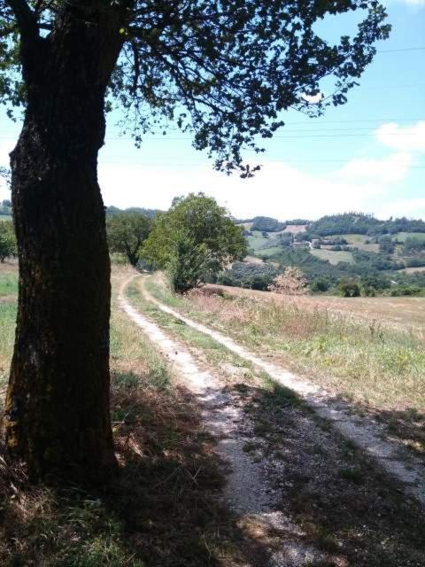 Campo D'arco Ferienhaus