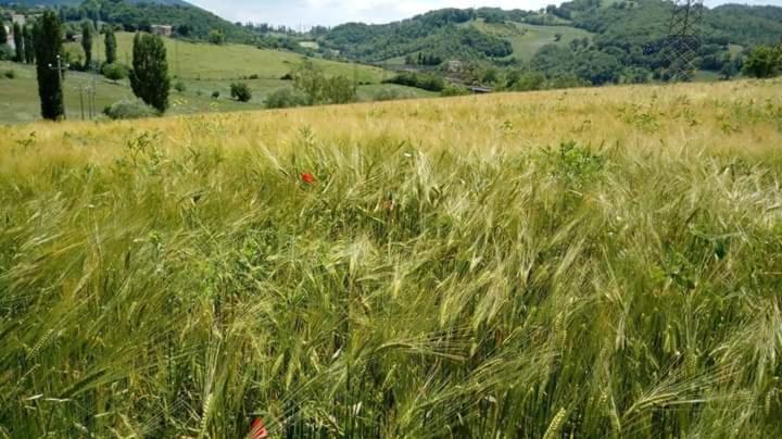 Campo D'arco * Nocera Umbra